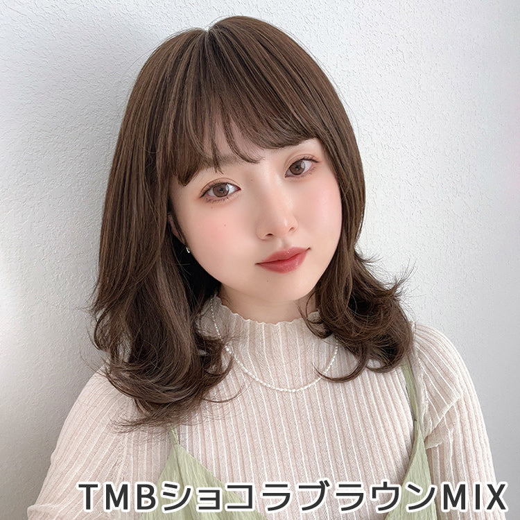 ファジーレイヤーミディ