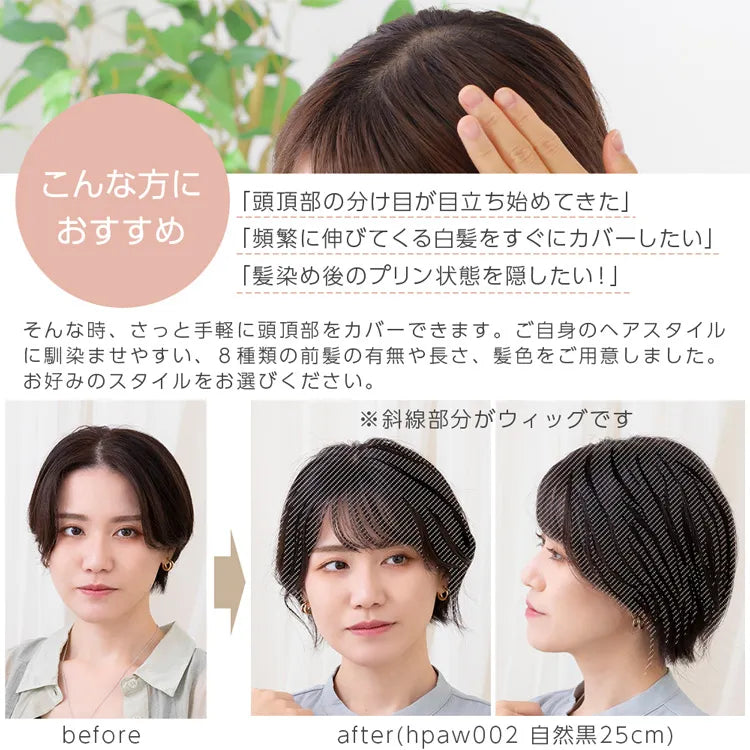 人毛100% 総手植え ナチュレトップヘアピース 選べる4タイプ 人毛100% 総手植え ナチュレトップヘアピース 選べる4タイプ