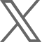 X (Twitter)