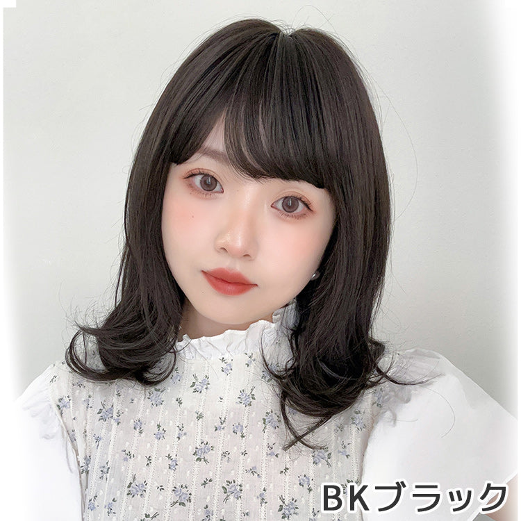 ファジーレイヤーミディ