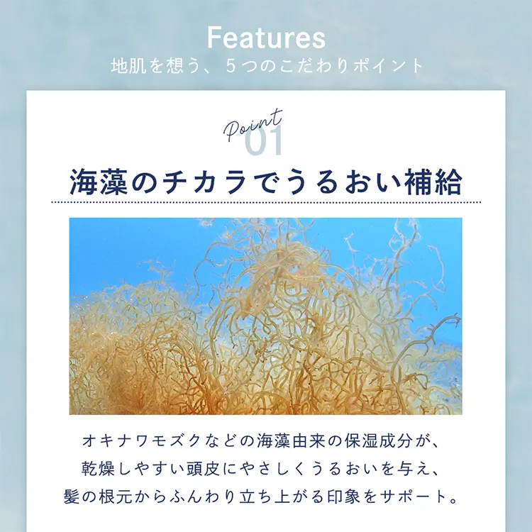 海藻成分配合 肌にやさしい頭皮用ローション 高保湿タイプ  SHIZUKU（シズク）メイン6