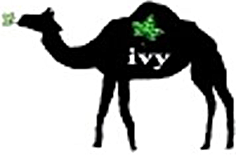 提携サロン ivy（アイビイ） 写真1
